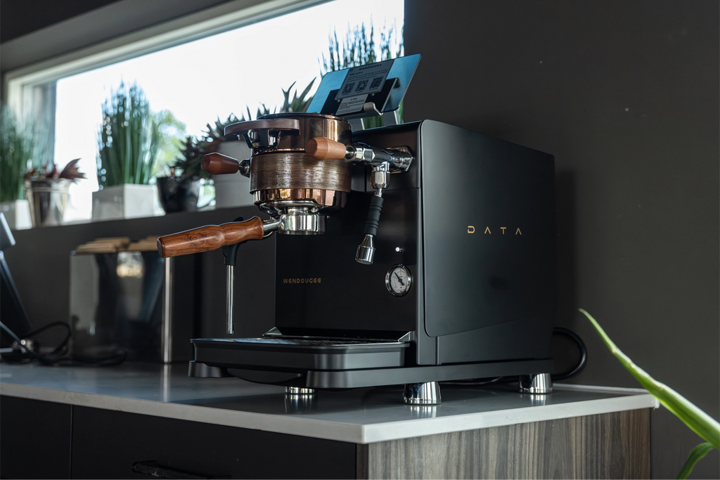 Wendougee Data S har en stillegående girpumpen som gir jevn ekstraksjon med lav vibrasjon, ideell for trykkprofilering og langvarig drift. 